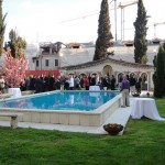 Fortuny Cocktail party trial 2