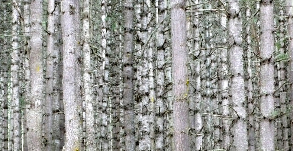 The Bespoken Word: slideshow photograph 3