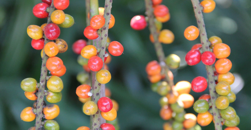 The Bespoken Word: slideshow photograph 4