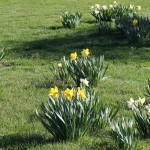 Work in Progress: Amagansett