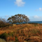 Highlights of the Year 2011